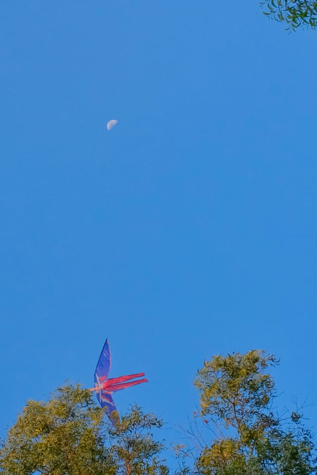 月亮和风筝