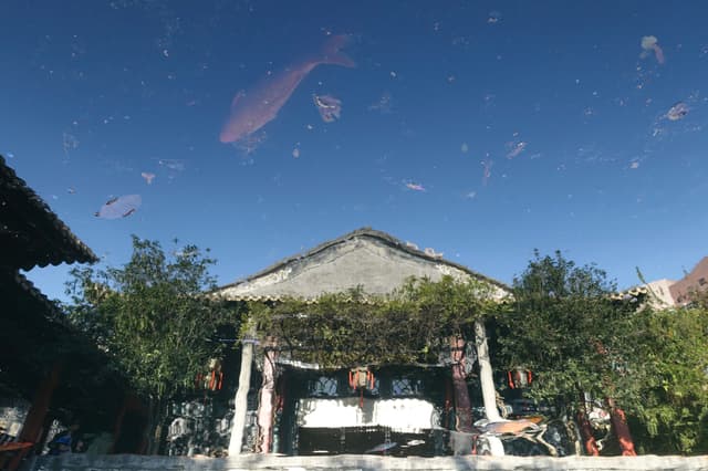 大鱼